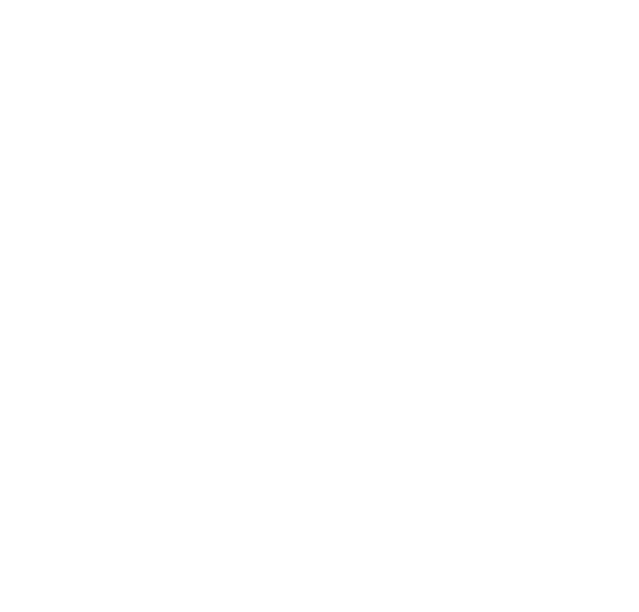 Ralph Waldo Emerson visual data 5